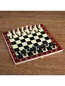 *Шахматы 24*24см. доска дерево, фигуры пласт. 578799