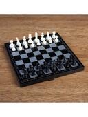 *Шахматы классические 24,5*24,5см., магнитные, пластик 2590516