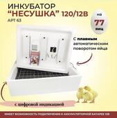 Инкубатор Несушка 77 (220В/12В) авт.поворот, цифр.терморег., принудит.вентил. (63в)