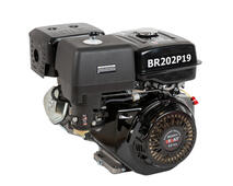 Двигатель BRAIT BR202P19 6,5 л.с., диаметр вала 19мм.