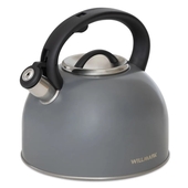 Чайник газовый 4,0л. WILLMARK WTK-4810SS тёмно-серый