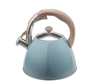 Чайник газовый 3,0л. WINNER WR-5057 бирюзовый, д/всех видов плит