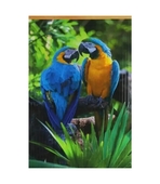 Обогреватель настенный Попугай